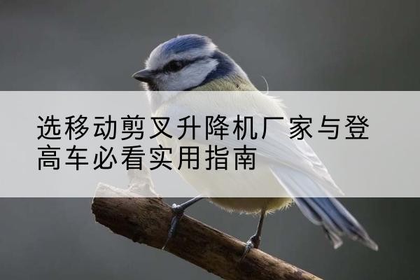 渭源电动升降机厂家-选移动剪叉升降机厂家与登高车必看实用指南