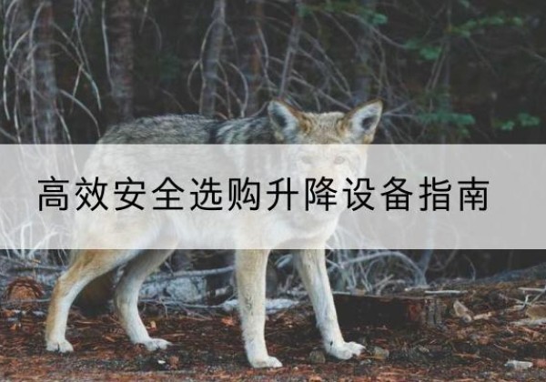 渭源升降货梯厂家推荐-*安全选购升降设备指南